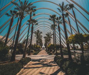 Preview wallpaper palm trees, tropics, sunlight, architecture, construction