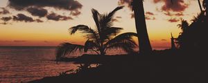 Preview wallpaper palm trees, tropics, sunset, branches, mexico