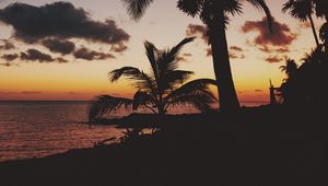 Preview wallpaper palm trees, tropics, sunset, branches, mexico