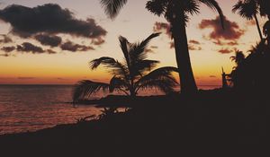 Preview wallpaper palm trees, tropics, sunset, branches, mexico