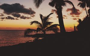 Preview wallpaper palm trees, tropics, sunset, branches, mexico