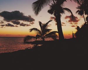 Preview wallpaper palm trees, tropics, sunset, branches, mexico