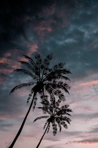 Preview wallpaper palm trees, twilight, dark, sky, clouds
