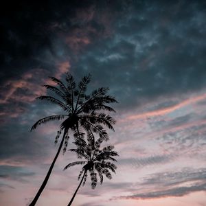 Preview wallpaper palm trees, twilight, dark, sky, clouds