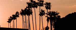 Preview wallpaper palm trees, twilight, outlines, dark, sky, clouds