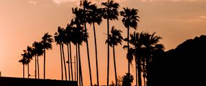 Preview wallpaper palm trees, twilight, outlines, dark, sky, clouds