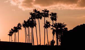 Preview wallpaper palm trees, twilight, outlines, dark, sky, clouds