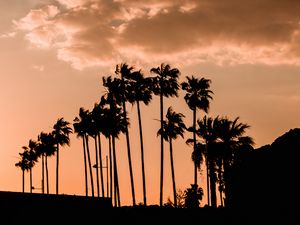 Preview wallpaper palm trees, twilight, outlines, dark, sky, clouds