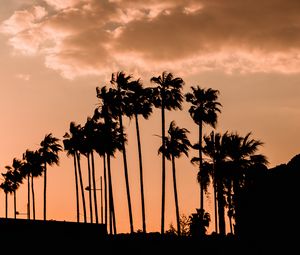 Preview wallpaper palm trees, twilight, outlines, dark, sky, clouds