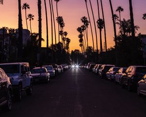 Preview wallpaper palm trees, twilight, street, road, cars