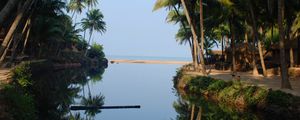 Preview wallpaper palm trees, water, reflection, tropics, nature