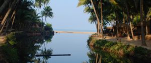 Preview wallpaper palm trees, water, reflection, tropics, nature