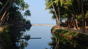 Preview wallpaper palm trees, water, reflection, tropics, nature