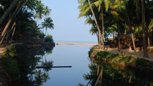 Preview wallpaper palm trees, water, reflection, tropics, nature