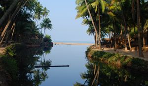 Preview wallpaper palm trees, water, reflection, tropics, nature