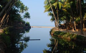 Preview wallpaper palm trees, water, reflection, tropics, nature