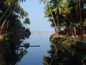 Preview wallpaper palm trees, water, reflection, tropics, nature