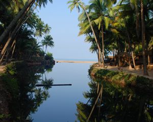 Preview wallpaper palm trees, water, reflection, tropics, nature