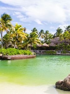 Preview wallpaper palm trees, water, tropics, sky