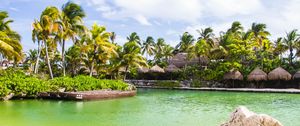 Preview wallpaper palm trees, water, tropics, sky