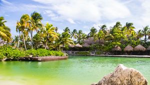 Preview wallpaper palm trees, water, tropics, sky