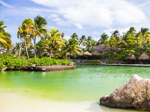 Preview wallpaper palm trees, water, tropics, sky