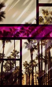 Preview wallpaper palm, window, glass, frame, color, reflection