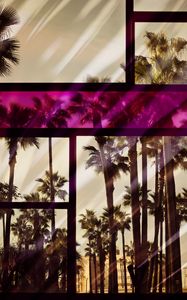 Preview wallpaper palm, window, glass, frame, color, reflection