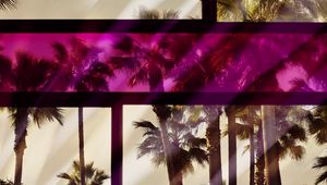 Preview wallpaper palm, window, glass, frame, color, reflection
