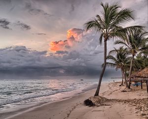 Preview wallpaper palms, beach, sand, tropics, dominican republic