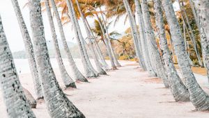 Preview wallpaper palms, beach, tropics, trees, sand