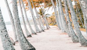 Preview wallpaper palms, beach, tropics, trees, sand