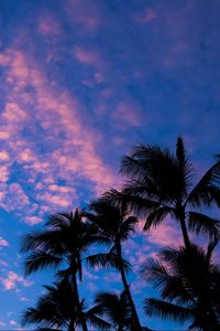 Preview wallpaper palms, clouds, outlines, sunset, tropics