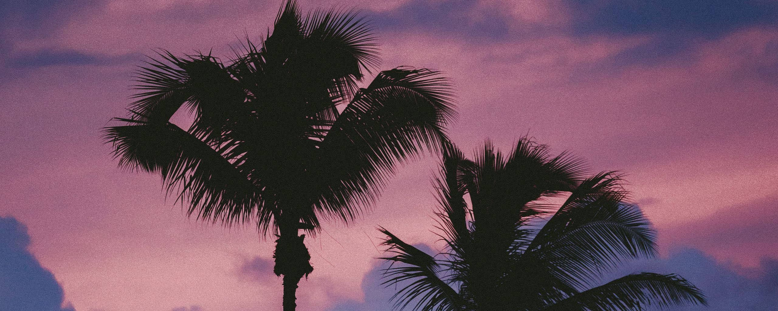 Download wallpaper 2560x1024 palms, clouds, trees, sky ultrawide ...