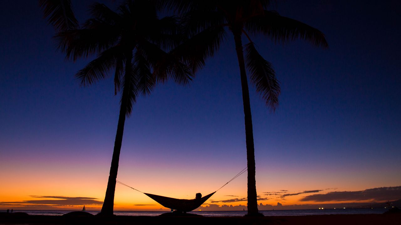 Wallpaper palms, hammock, night, silhouettes, rest, tropics