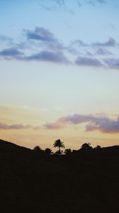 Preview wallpaper palms, horizon, sky, clouds