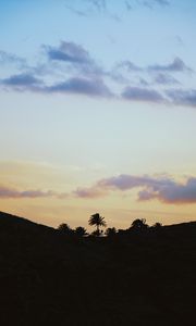 Preview wallpaper palms, horizon, sky, clouds