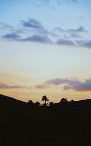 Preview wallpaper palms, horizon, sky, clouds