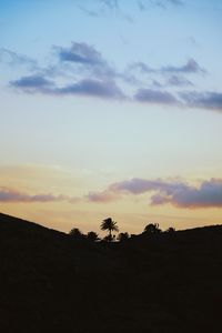 Preview wallpaper palms, horizon, sky, clouds