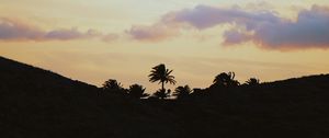 Preview wallpaper palms, horizon, sky, clouds