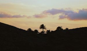Preview wallpaper palms, horizon, sky, clouds