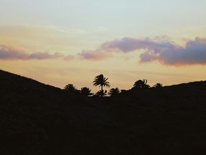 Preview wallpaper palms, horizon, sky, clouds