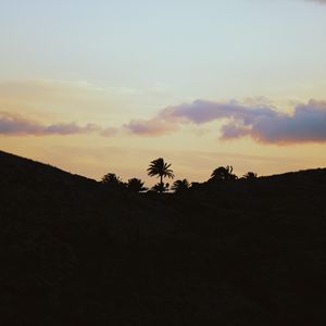 Preview wallpaper palms, horizon, sky, clouds