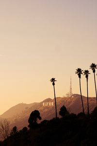 Preview wallpaper palms, mountains, bushes, hollywood
