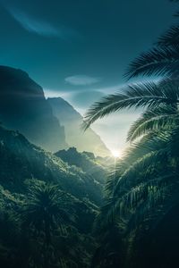 Preview wallpaper palms, mountains, sunlight, sky