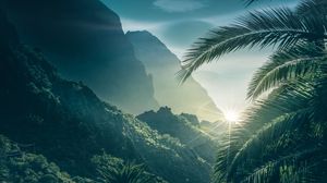 Preview wallpaper palms, mountains, sunlight, sky