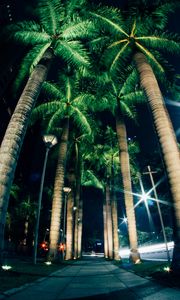 Preview wallpaper palms, night, street, lighting