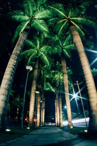 Preview wallpaper palms, night, street, lighting