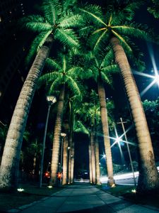 Preview wallpaper palms, night, street, lighting