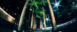 Preview wallpaper palms, night, street, lighting